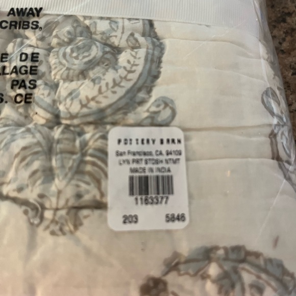 Pottery Barn Lynette Paisley Sham Standard - Picture 5 of 5